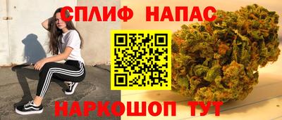 дживик Нальчик